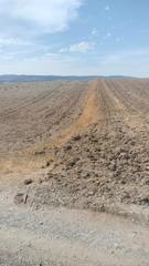 Rural plot  Calle real. Se vende haza tierra calma