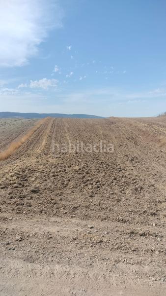 Foto eda4d74f-1776-48ca-a3c6-aef92015e0e5. Fondo rustico in Malahá (La)