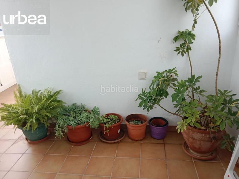 Foto 189f956c-5d27-4ad3-ad03-7a2ffbe4beae. Pis amb calefacció piscina a Los Álamos Torremolinos