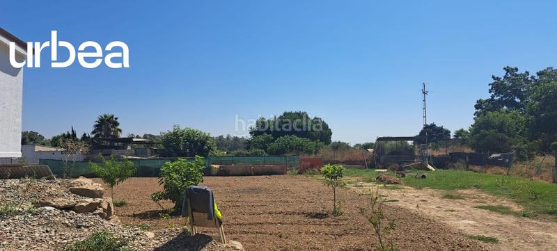 Foto 819e65e6-6c81-4b5a-ae31-2a6136f2c6c5. Finca rústica en El Romeral-Peñón de Zapata Alhaurín de la Torre