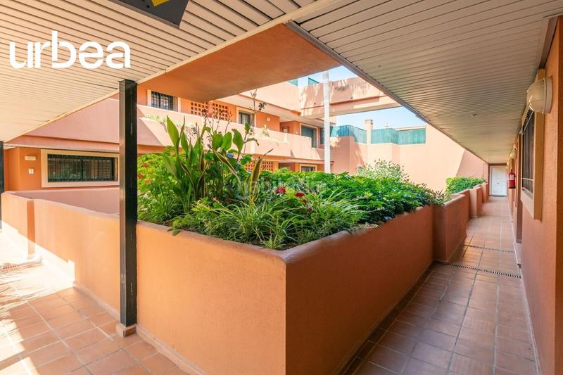 Foto 46785d3e-e134-4ded-b1dd-e802f32498ec. Àtic amb piscina a Cabopino - Artola Marbella