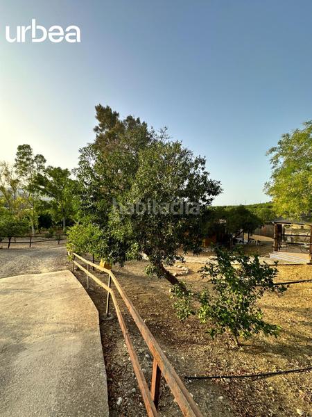 Foto 277b125c-16df-4b4f-a5e9-2f5d466d091d. Masia amb calefacció aparcament piscina a Pizarra