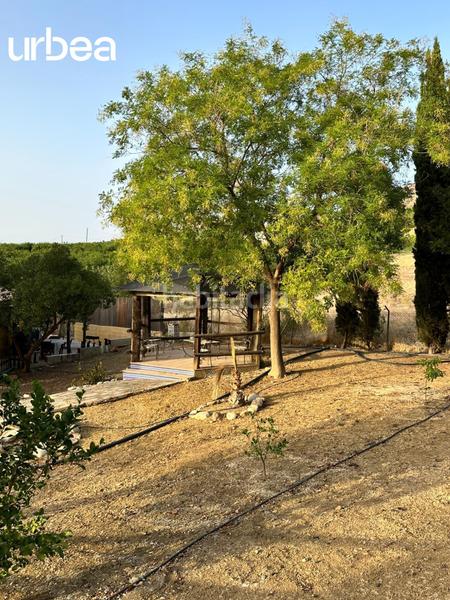 Foto a11ca35f-b821-46d4-89ee-c687ca68733a. Masia amb calefacció aparcament piscina a Pizarra