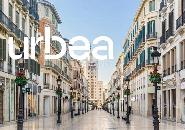 Foto 223c8889-d0e4-47ee-8be6-e47b36a2c199. Àtic a Centro Histórico Málaga