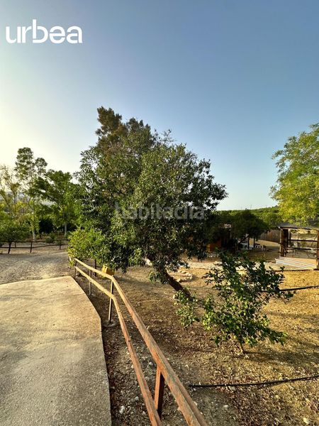 Foto aceb1313-d586-4c0a-89fb-ea1efe18f41e. Masia amb calefacció aparcament piscina a Pizarra