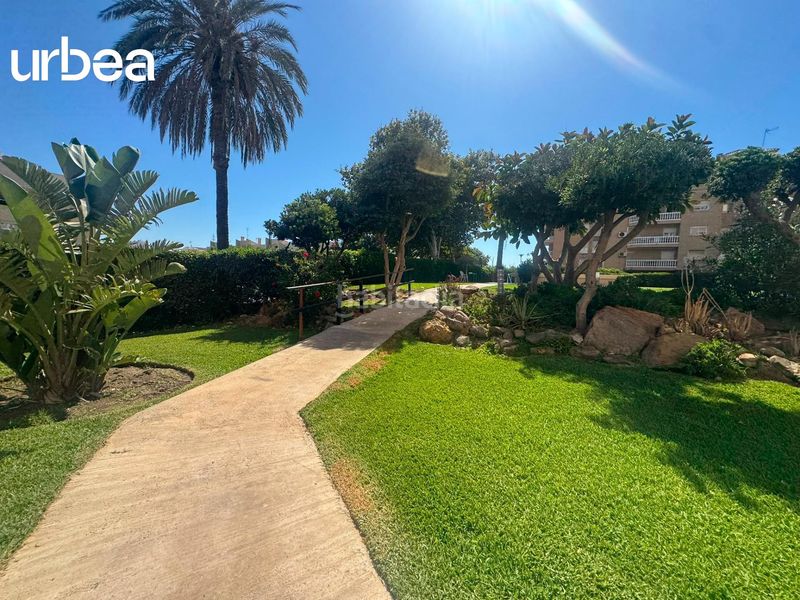 Foto d65015bd-3fc6-47fe-82d0-325555c7147a. Lloguer apartament amb piscina a Guadalmar Málaga