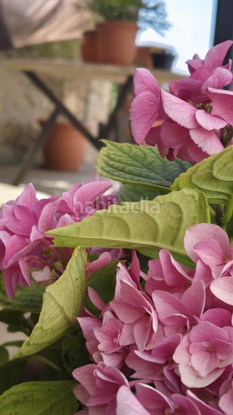 Foto 21bb1963-d097-449e-879e-b1ae5e1c9087. Haus mit kamin heizung parking in Cervelló