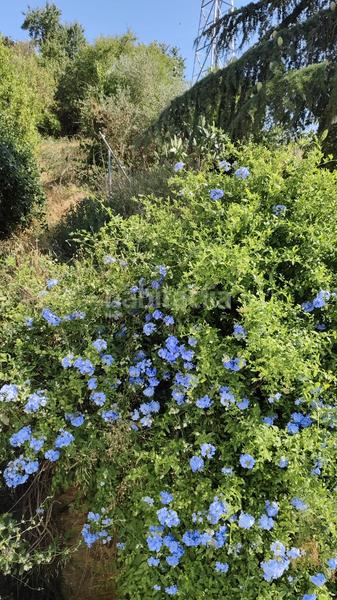 Foto c6813563-5ec3-494b-8e70-8cdd0fe3c1b0. Haus mit kamin heizung parking in Cervelló