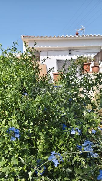 Foto fdfcc31b-c105-4faf-b109-113a1348cfc2. Haus mit kamin heizung parking in Cervelló