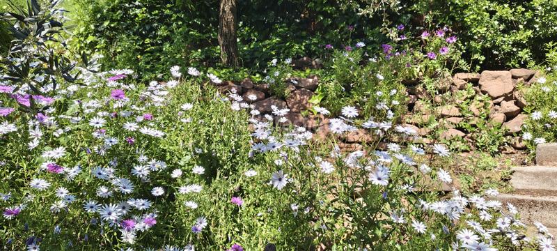 Foto 11ecced4-5a10-444e-bb69-1001479f5ae1. Maison avec cheminée chauffage parking piscine dans Cervelló