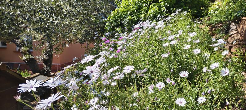 Foto 3242f70b-387d-4f7b-9639-6eb49121baed. Maison avec cheminée chauffage parking piscine dans Cervelló