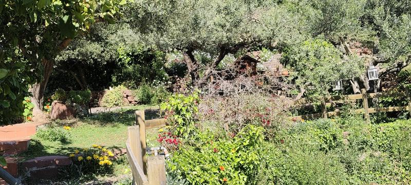 Foto d22c1499-de95-4270-9bc2-e81528c71484. Maison avec cheminée chauffage parking piscine dans Cervelló