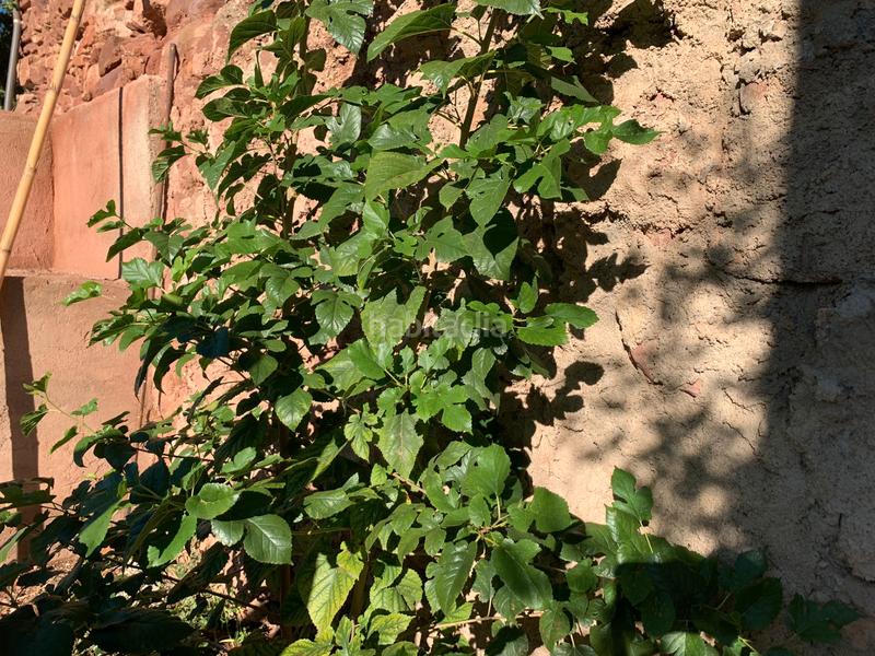 Foto 518c17bc-6bb8-49db-9355-8cc15fff6d0f. Haus mit heizung parking in Cervelló