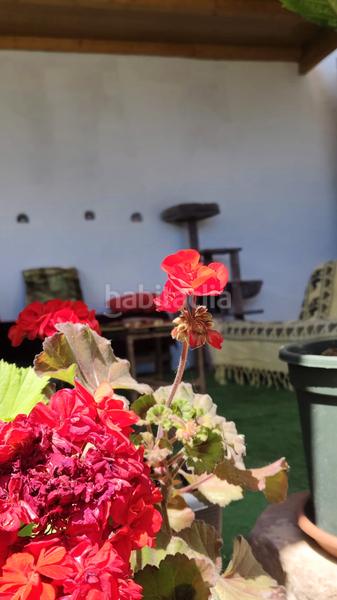 Foto b1f34248-348c-4ad7-a000-cc9649b82870. Haus mit heizung parking in Cervelló