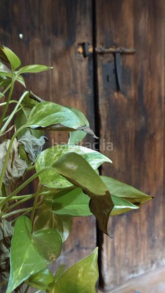 Foto bf2b3552-82ab-4f4d-8b64-5d05c830fcc6. Haus mit heizung parking in Cervelló