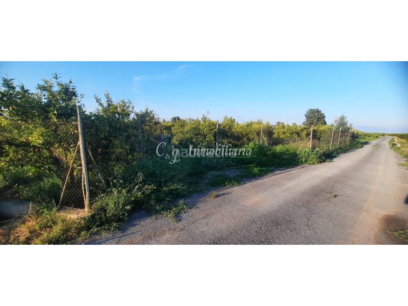 Foto 96c66454-628d-4f9e-9104-458d361787b2. Finca rústica a El Baladre Sagunt