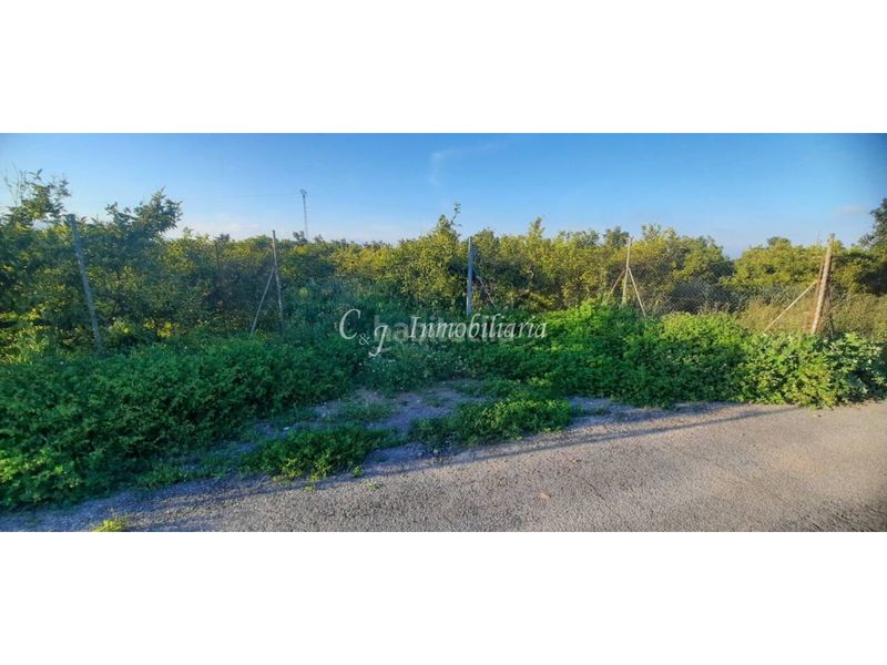 Foto f831eea0-b97a-4535-8527-167a90e36f9d. Finca rústica a El Baladre Sagunt