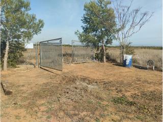 Finca rstica en Almenara. En venta parcelahuerto vallado en almenara