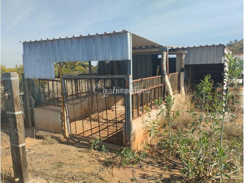 Foto 1a12bcf0-25eb-4e43-968e-7df9e5bed2ae. Finca rústica a Almenara