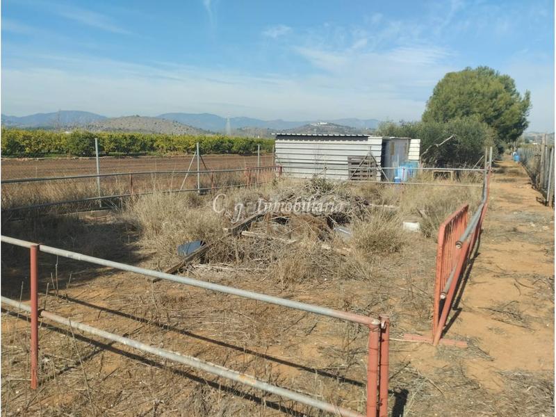 Foto 526e5c05-e3ca-4bdb-8903-5d36a3d25e80. Finca rústica a Almenara