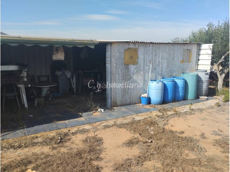 Foto 5b387812-8fe2-4d06-9a86-22ec02dc0fc0. Finca rústica a Almenara