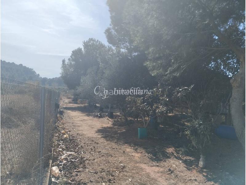 Foto 6381fdfb-e0c0-4dd0-8edb-f86dee4b6efd. Finca rústica a Almenara