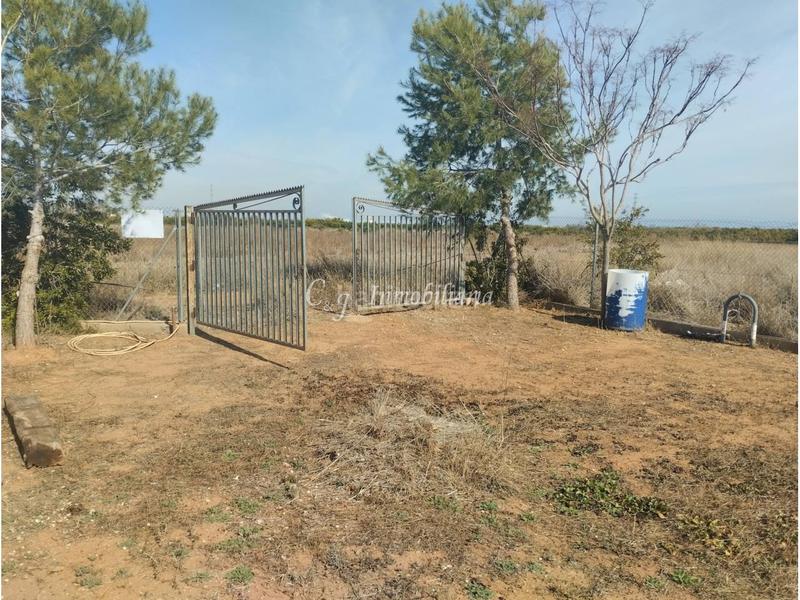 Foto 7d26a9a7-cbe0-40a9-aceb-e17668108ef3. Finca rústica a Almenara