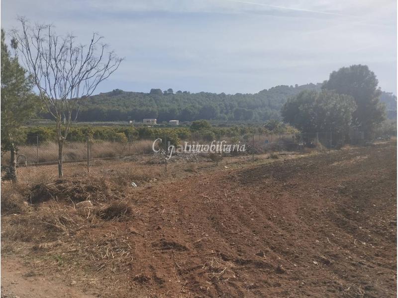 Foto 82ebc982-d4f6-4c9e-b32b-3e4086d8fd23. Finca rústica a Almenara
