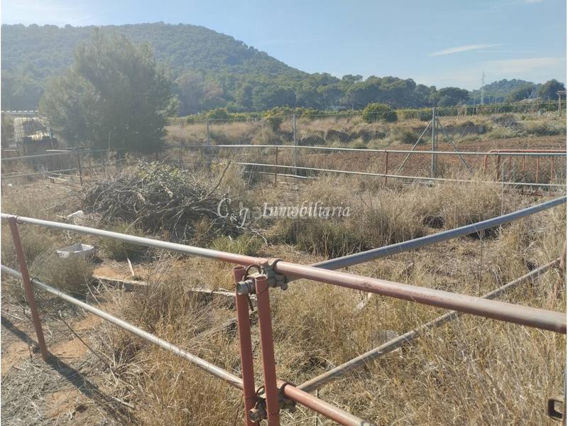 Foto 9e4a488e-edfc-4d16-b12a-a5d6e0811f0c. Finca rústica a Almenara