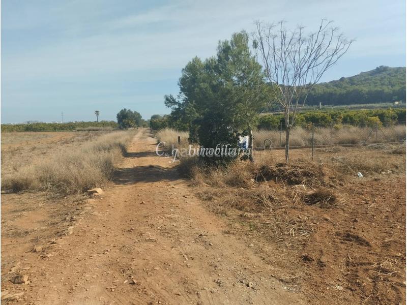 Foto a303bbc5-75ff-4c50-ad9f-9e98379684ba. Finca rústica a Almenara