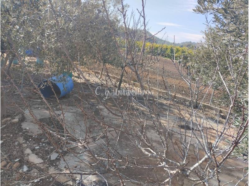 Foto d2bed18f-e0c6-4509-8b10-b211f503e166. Finca rústica a Almenara