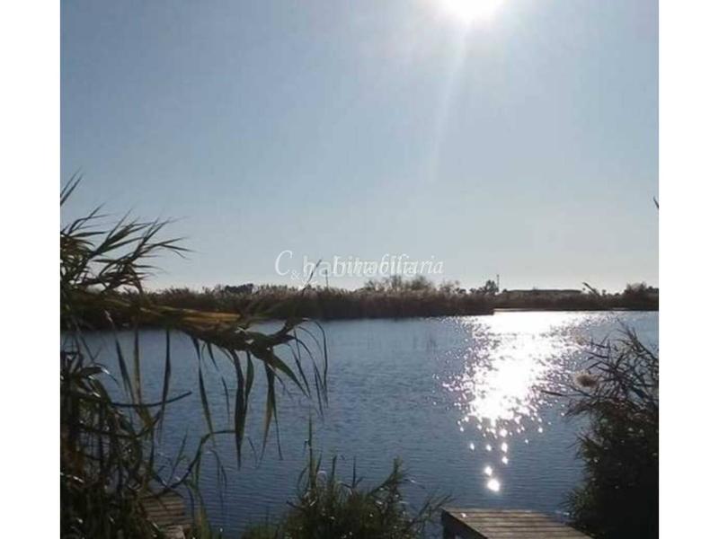 Foto ec4ea482-981f-4049-bfcb-366f364d770d. Finca rústica a Almenara