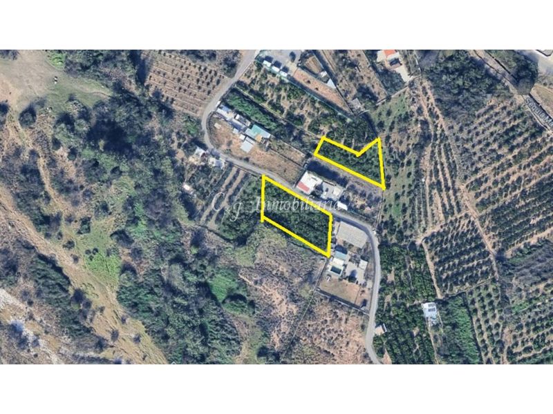 Foto 8cfb8b20-dbf8-46f4-8694-71fe0d7d5925. Finca rústica a Albalat dels Tarongers