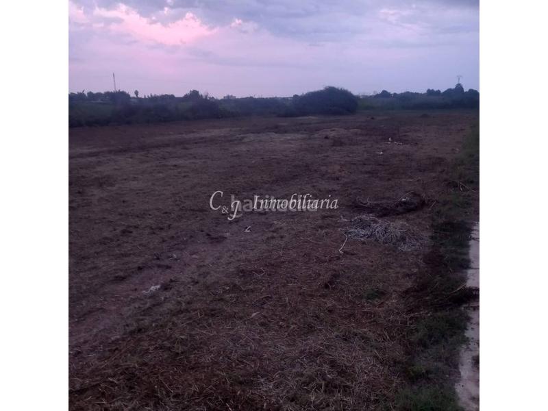 Foto 374348fc-ed60-427f-9dc2-f56ab8533685. Landgut in playas de Puçol Puçol