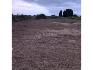 Finca rústica  La travessa. Huerto en venta en zona de puzol