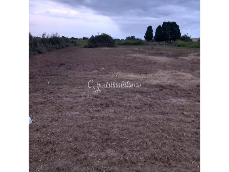 Foto 71b354de-a3fc-4a13-9f9e-57d754467aeb. Landgut in playas de Puçol Puçol