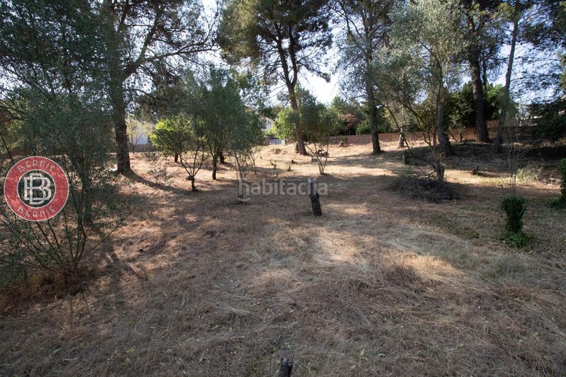 Foto d397643a-c434-4033-8405-fc1258ea1303. Terreny residencial a Piera