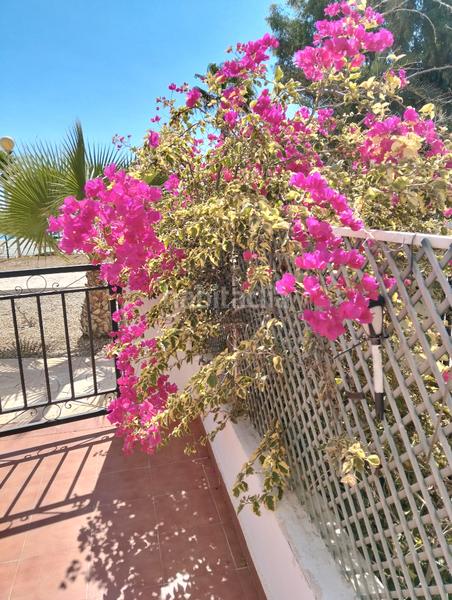 Foto eb3aab09-626c-42b4-8cbb-a46cbafa0ee8. Apartament amb piscina a Cala Marqués Vera