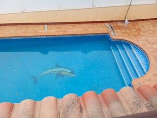 Casa en Segur de Calafell Nucli Urbà. Casa independiente cuatro vientos de obra vista