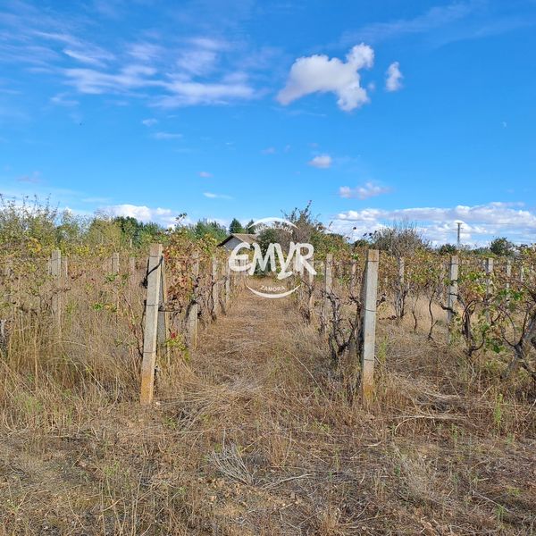 Foto d280ee2f-fd19-4927-97ff-5656a3eb26c9. Chalet venta finca con casa a 4 km en Área Rural Zamora