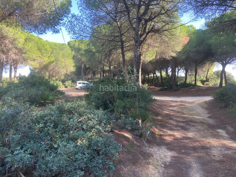 Foto c6bd389f-53ae-40e4-a1ff-25e2697fd018. Finca rústica a El Almedral Puerto Real