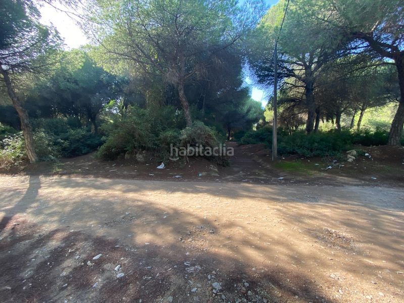 Foto d165fcb5-fde1-4ca2-8f00-86e29a441a81. Finca rústica a El Almedral Puerto Real