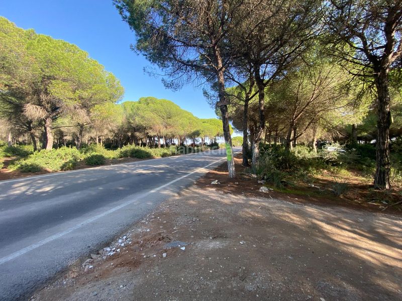 Foto fc0131d1-c168-41c8-a45e-7efe88594b41. Finca rústica a El Almedral Puerto Real
