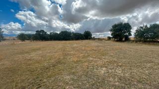 Finca rústica en Palazuelos de Eresma. Finca ideal para caballos