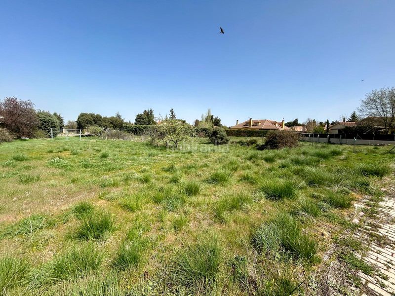 Foto e2591d55-fe24-47b8-97cf-73e2cd6efad9. Terreny residencial a Navas de Riofrío