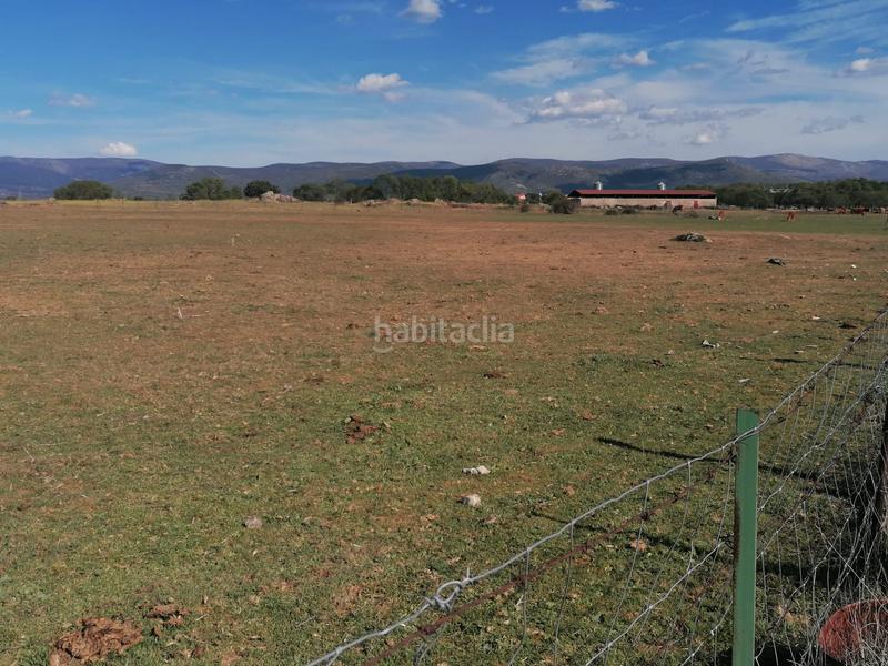 Foto 3774bebb-1d23-46a5-af03-b300460afac6. Rural plot in Espirdo