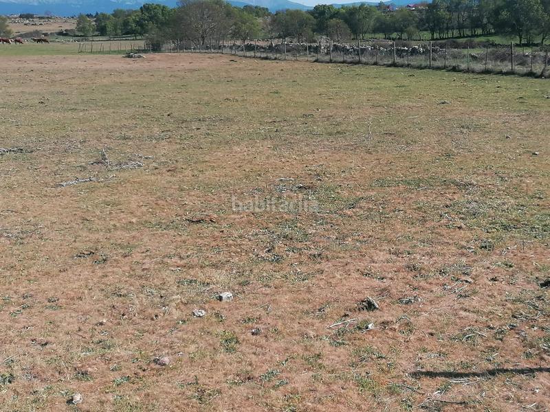 Foto 3db026ec-b58f-4081-91c0-0049a4a83640. Rural plot in Espirdo