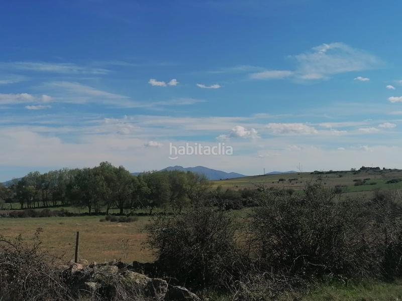 Foto 425e536e-6816-41af-aa36-aab92f0e8b26. Rural plot in Espirdo