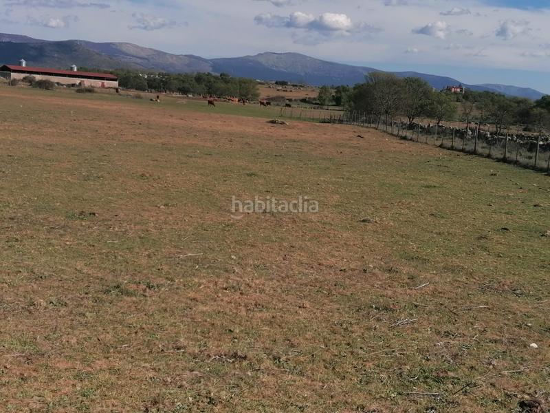 Foto 567bb818-f492-4c99-b42c-b361aaa464be. Rural plot in Espirdo