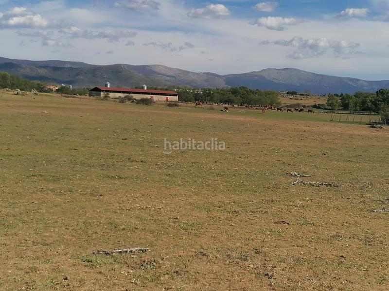 Foto 966c981f-c335-4c96-b964-c20c38ae7bea. Rural plot in Espirdo